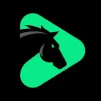 Horseplay logo